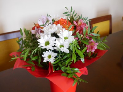 Dodatečné ocenění osobností Slezské Ostravy