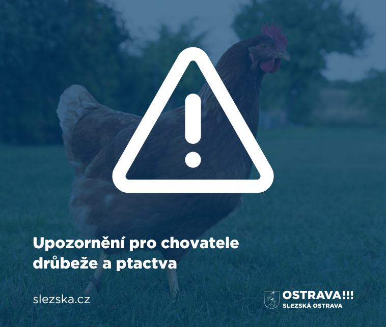 Informace pro chovatele drůbeže – potvrzena ohniska newcastleské choroby