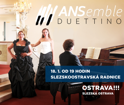 Koncert souboru ANSemble Duettino s hostem Richardem Novákem