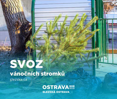 Ostrava opět zajistí svoz vánočních stromků od kontejnerových stání