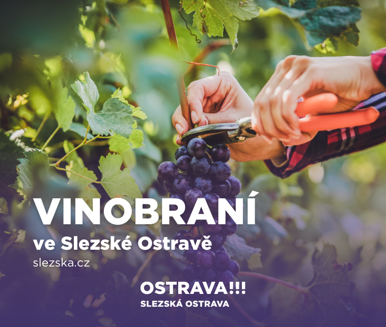 Sousedské vinobraní ve Slezské Ostravě