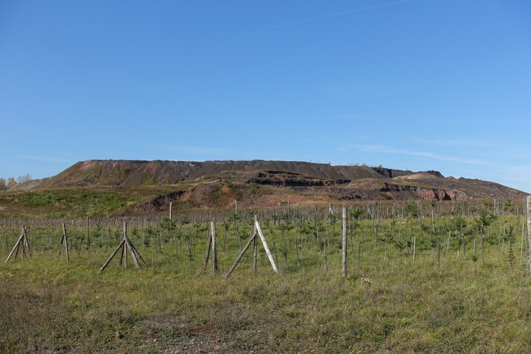 Státní podnik DIAMO spustil webové stránky o heřmanické haldě