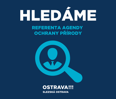 Volná pracovní pozice