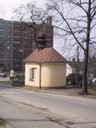 009.jpg
