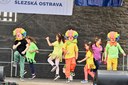 Den Slezské