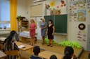 Škrobálkova 1