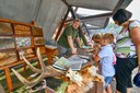 Heřmanické dožínky