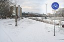 Zima