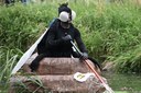 rozmarné slavnosti 