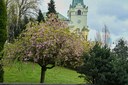 Jaro na Slezské